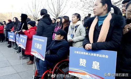 石家庄残疾人最新爆料,最新爆料揭示困境与呼声